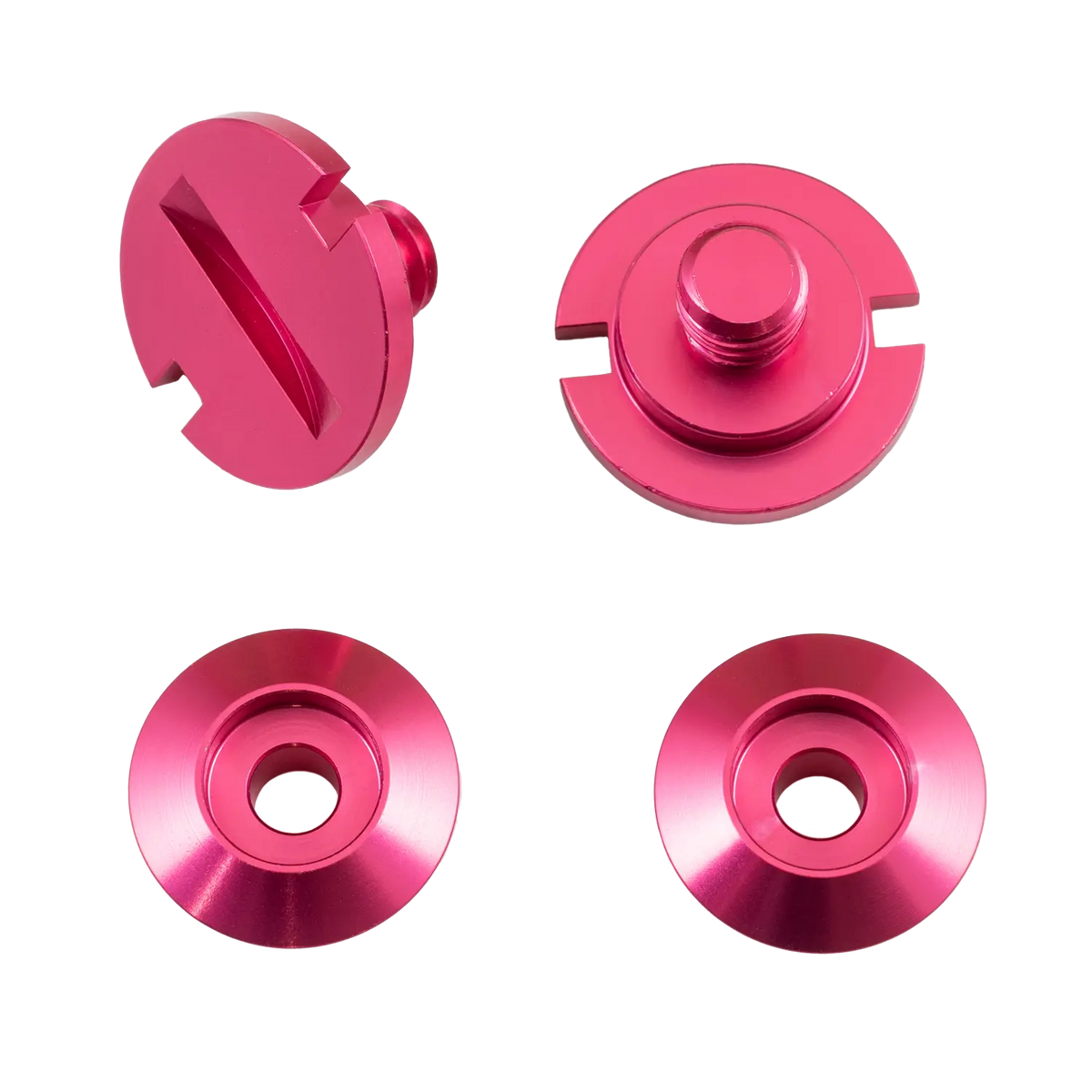 Point-Karting-Zamp-Accent-Screw-Kit-8
