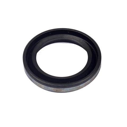 TARGET-Oil Seal (Magneto Side)-BS299819S