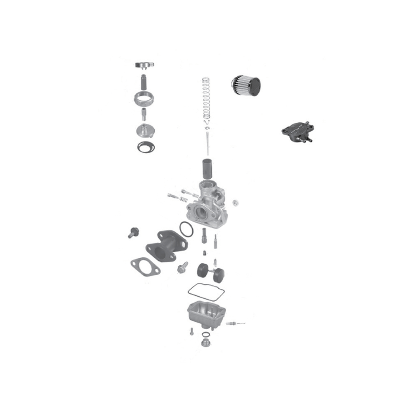 LO206 Carburetor Assembly Parts