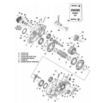 295505 23-24 | PISTON ASSY. (F) 53,99 MM Rotax