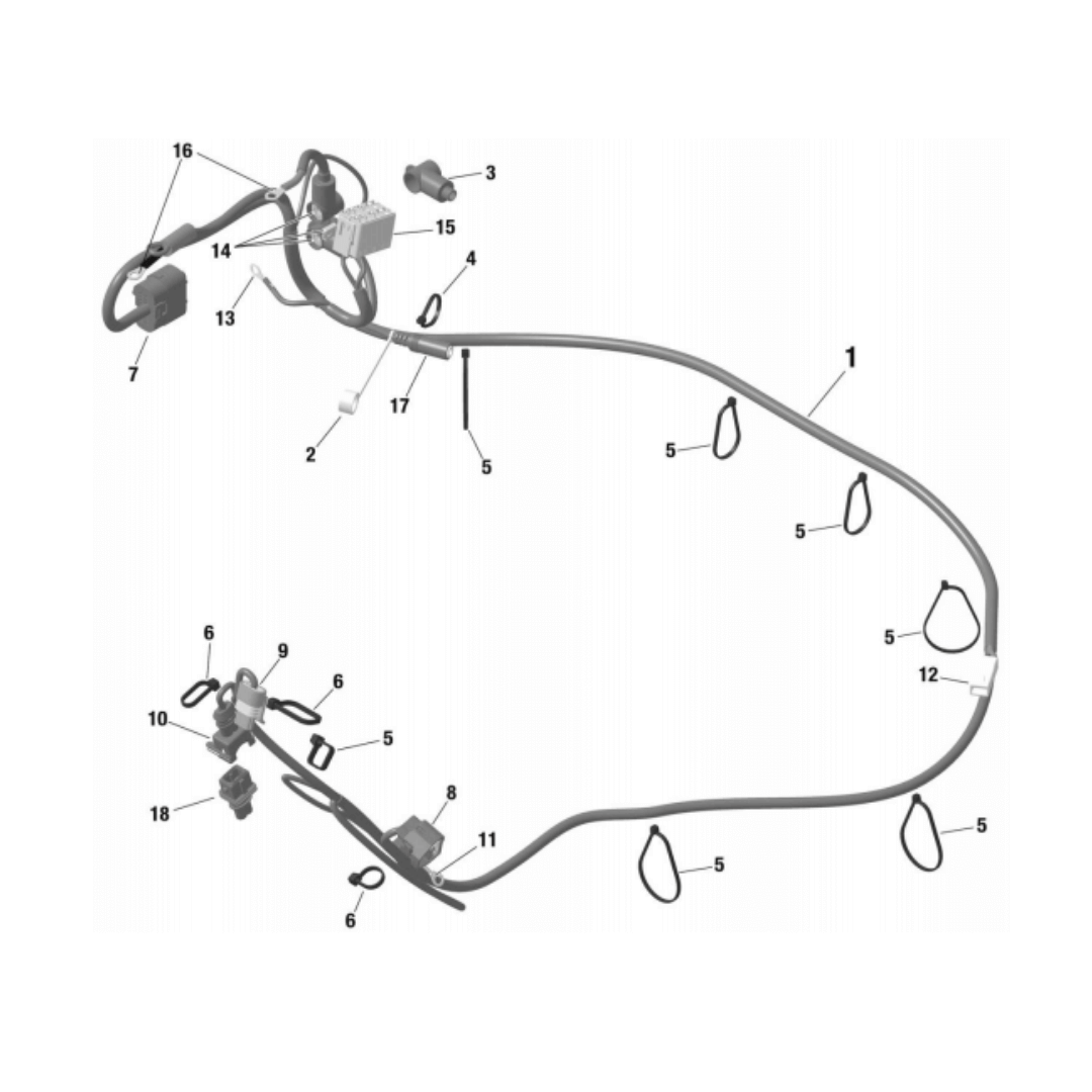 6668351-3 | Rotax Wiring Harness Rotax