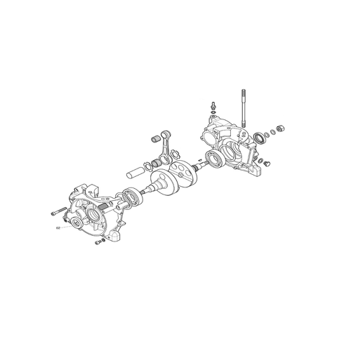 X30125425A-Crankcase & Crankshaft-oil-seal-magn-drive-side