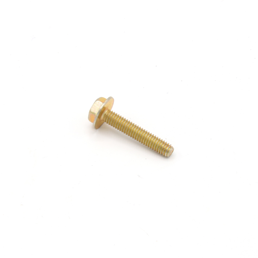 Briggs LO206 Screw 699477